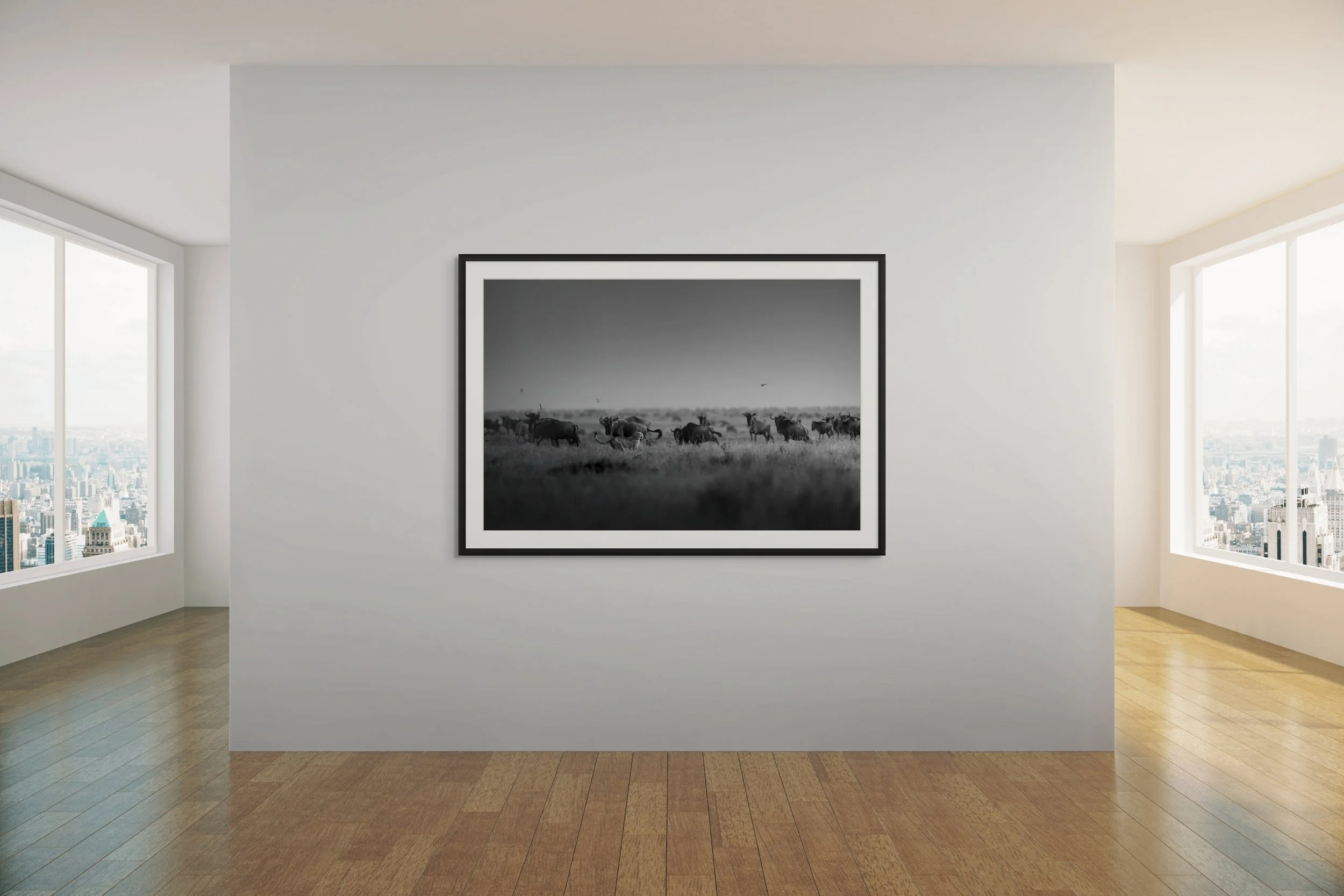 flight gallery-full.jpg