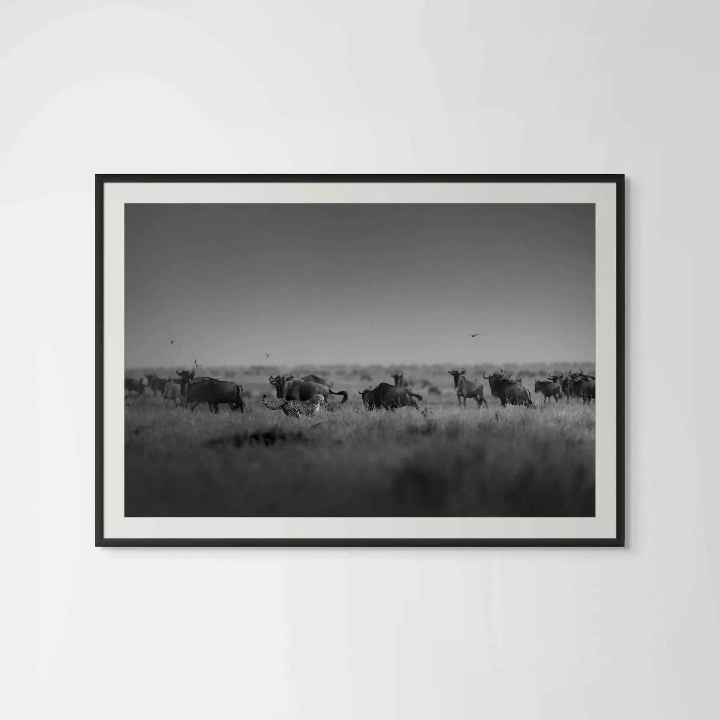 flight ecom white background-large.jpg