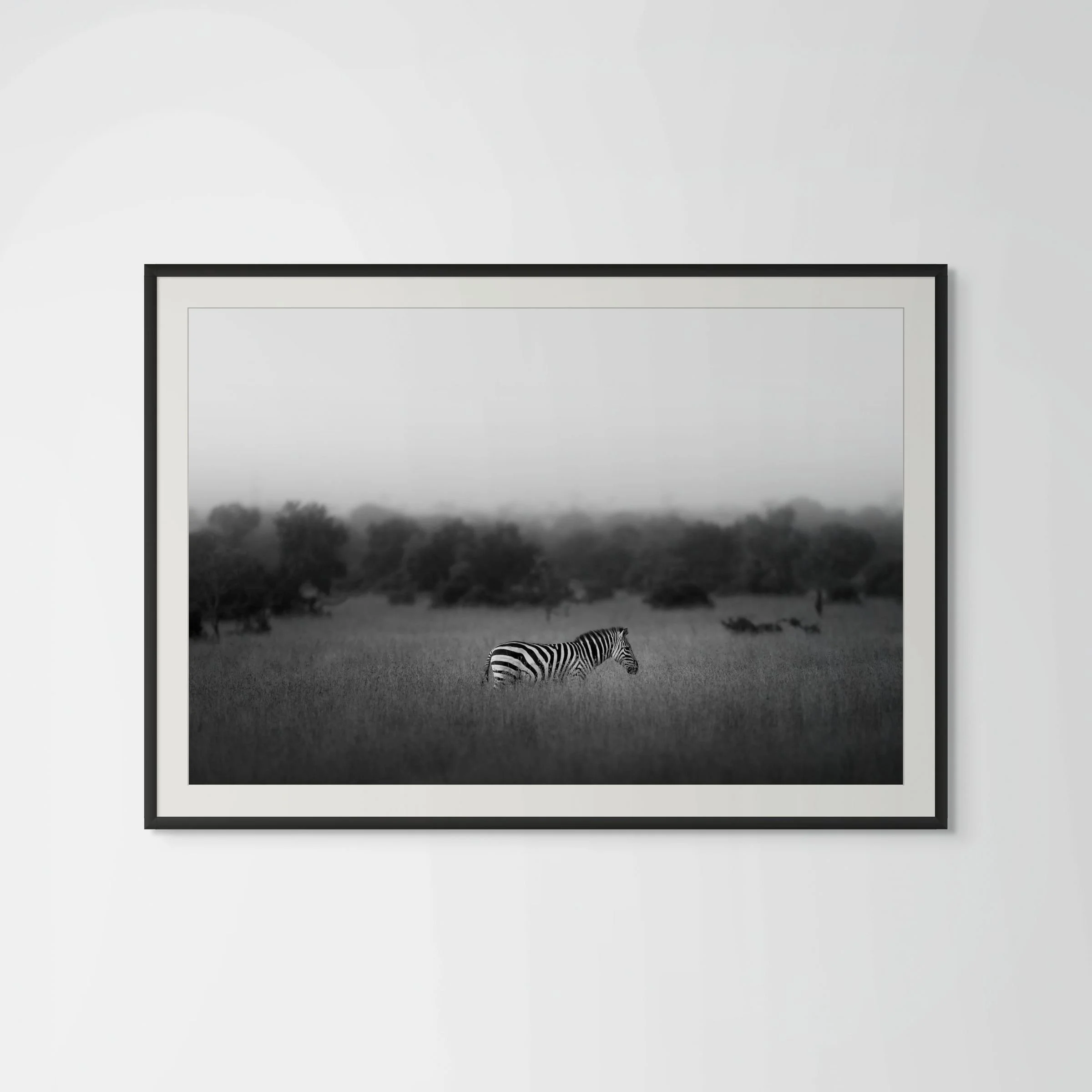 the straggler white background-large.jpg