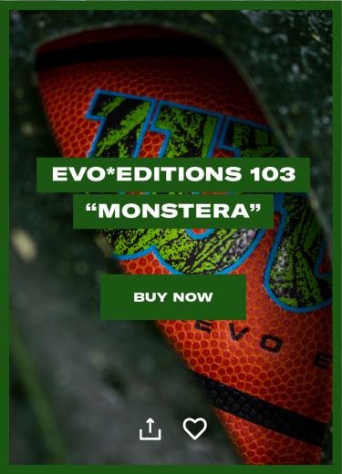 23-0119_Evo_Editions_2023_March_InApp_CollapsedFeed_Mockup.jpg