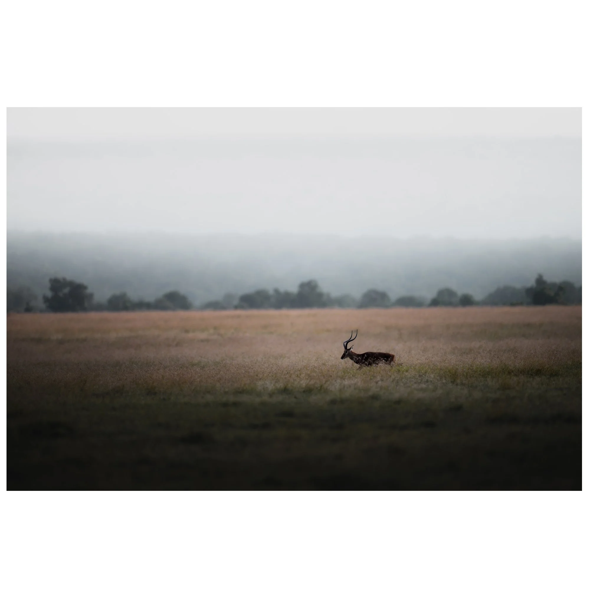 Peace in Solitude 1x1 Ecom.jpg