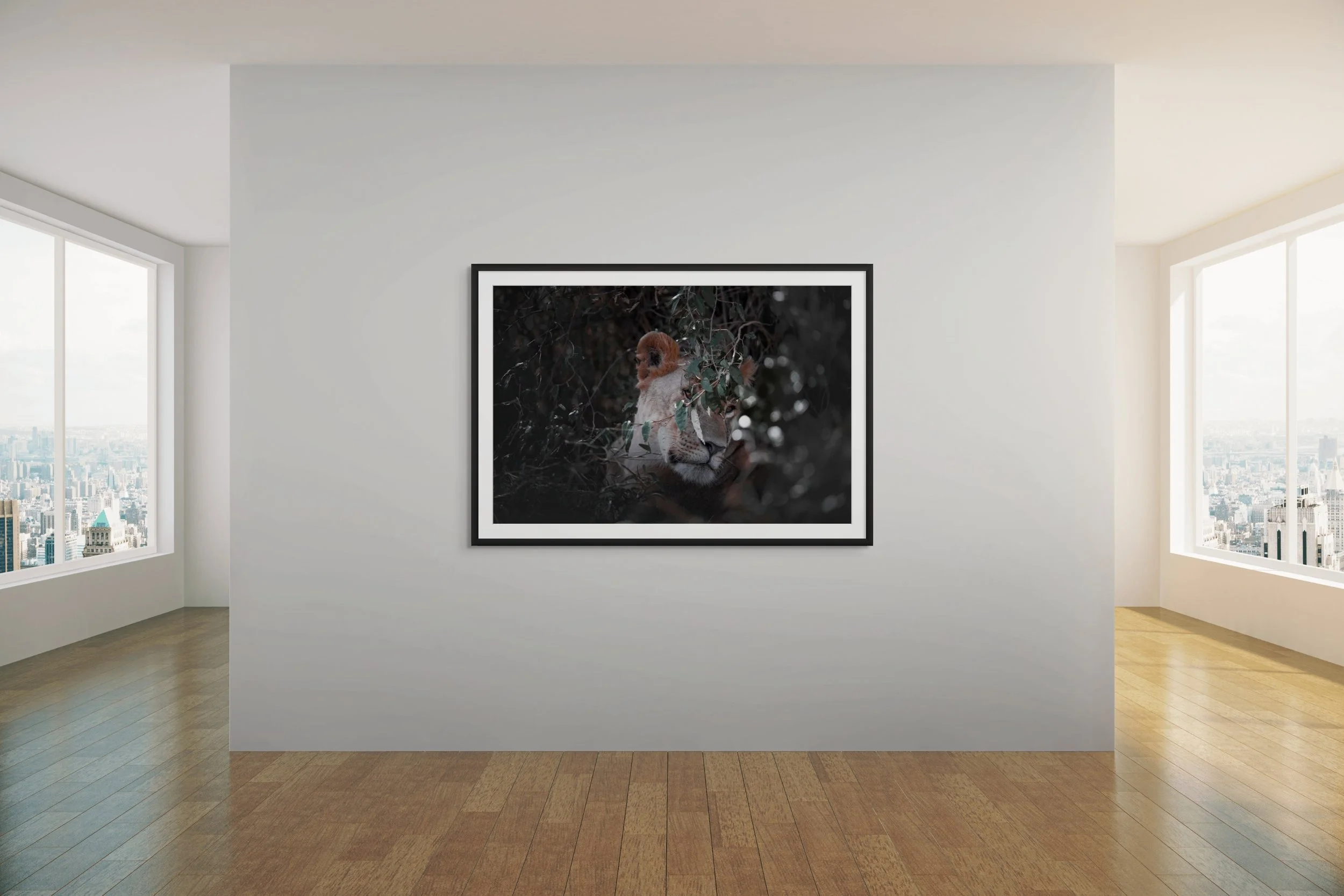 shrouded gallery.jpg