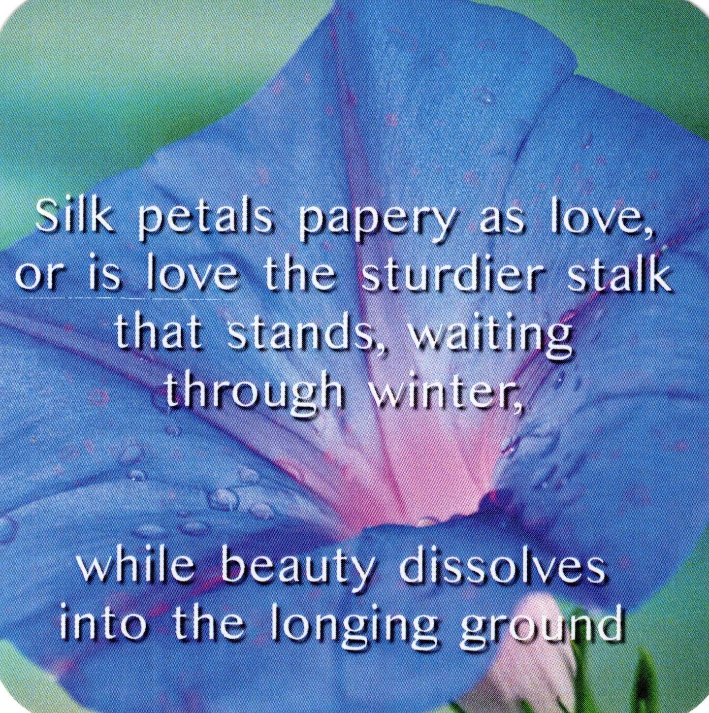 Are you the petals or the stalk in this scenario, or does it depend on the day?
 
I think these lines from my poem &ldquo;Mala&rdquo; give us an interesting way to ponder and celebrate love, including love of ourselves. You can find these and other i