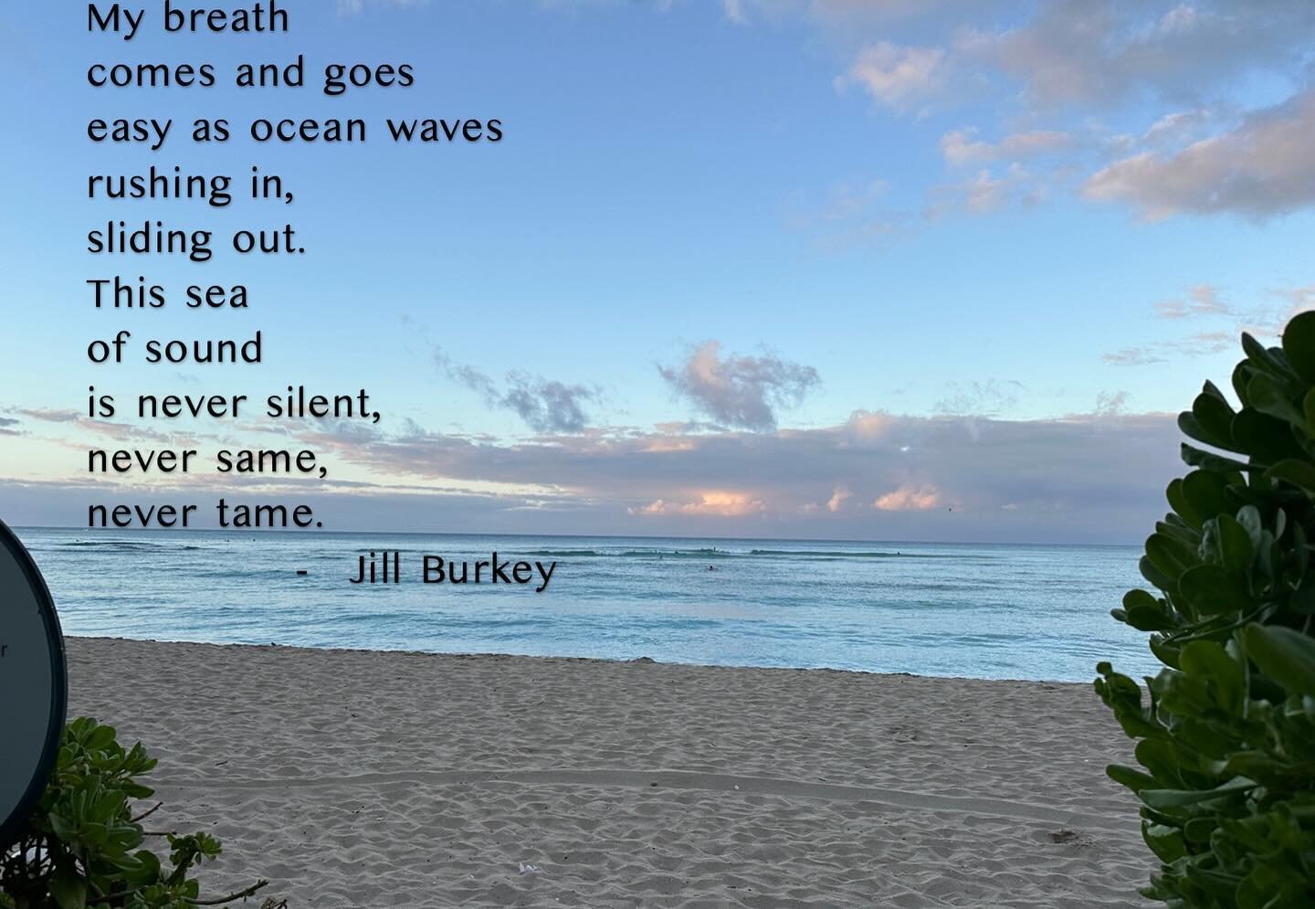 My breath 
comes and goes 
easy as ocean waves 
rushing in,
sliding out.
This sea 
of sound
is never silent,
never same,
never tame.

-&nbsp;&nbsp;&nbsp;&nbsp;&nbsp;&nbsp; Jill Burkey

Here are a few lines inspired by the ocean and a wonderful yoga a