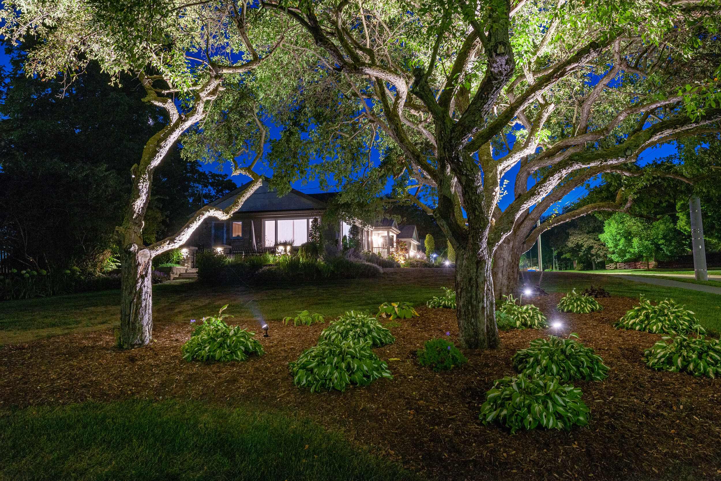 LANDSCAPE DESIGNER - Installation Photography