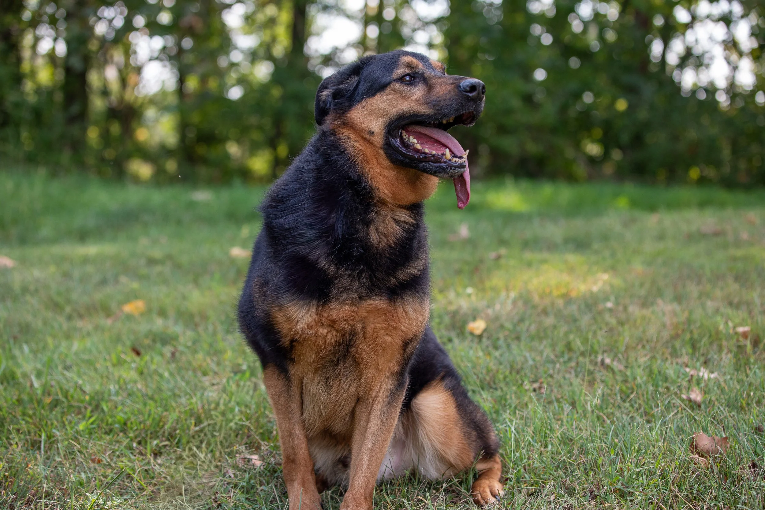 Reggie-13 Smaller.jpg