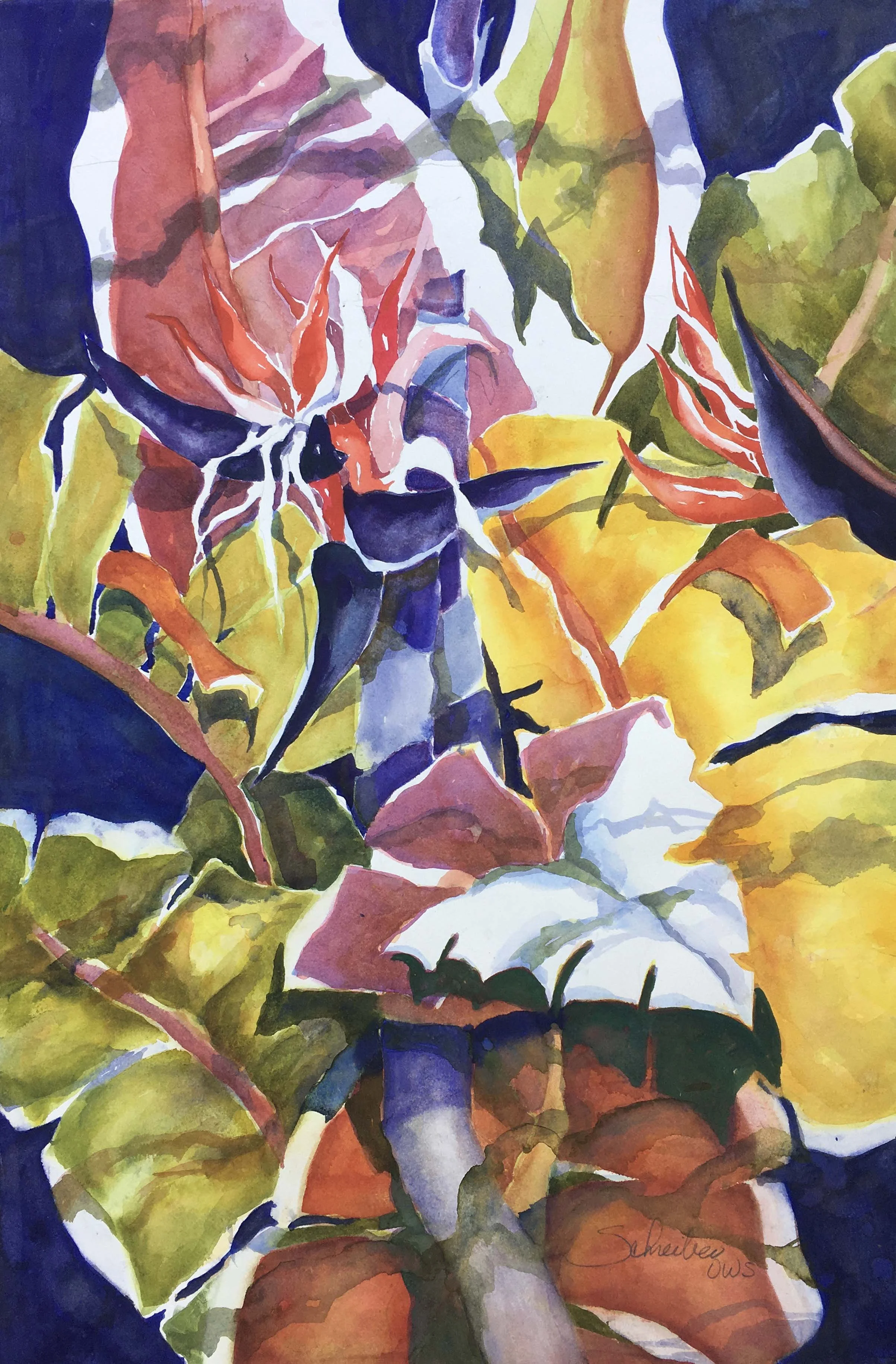 Plantasia #1
Accepted Orlando Science Center
Now Exhibited