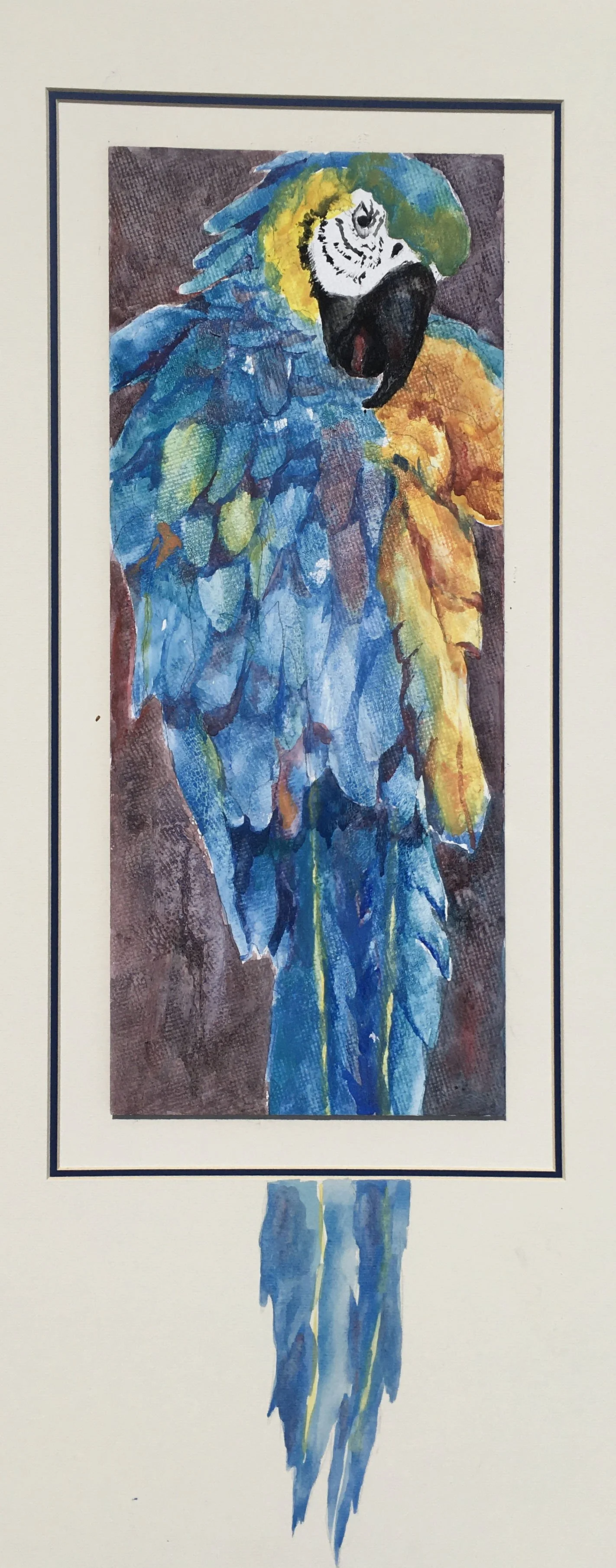 Blue Boy
Transparent Watercolor