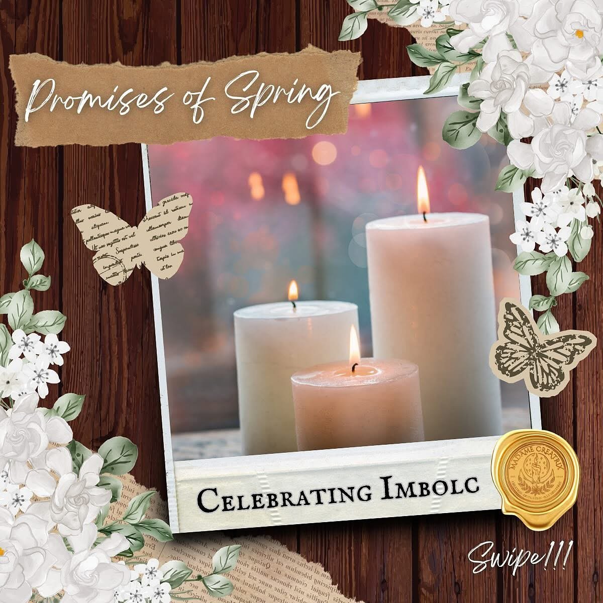 There&rsquo;s so many holidays and celebrations taking place! 
🐍 🕯️🌾
&ldquo;as Imbolc approaches&hellip; we are reminded that even in the darkest winter, 𝘁𝗵𝗲 𝗹𝗶𝗴𝗵𝘁 𝗮𝗹𝘄𝗮𝘆𝘀 𝗿𝗲𝘁𝘂𝗿𝗻𝘀. Imbolc is a festival of renewal, creativity, a