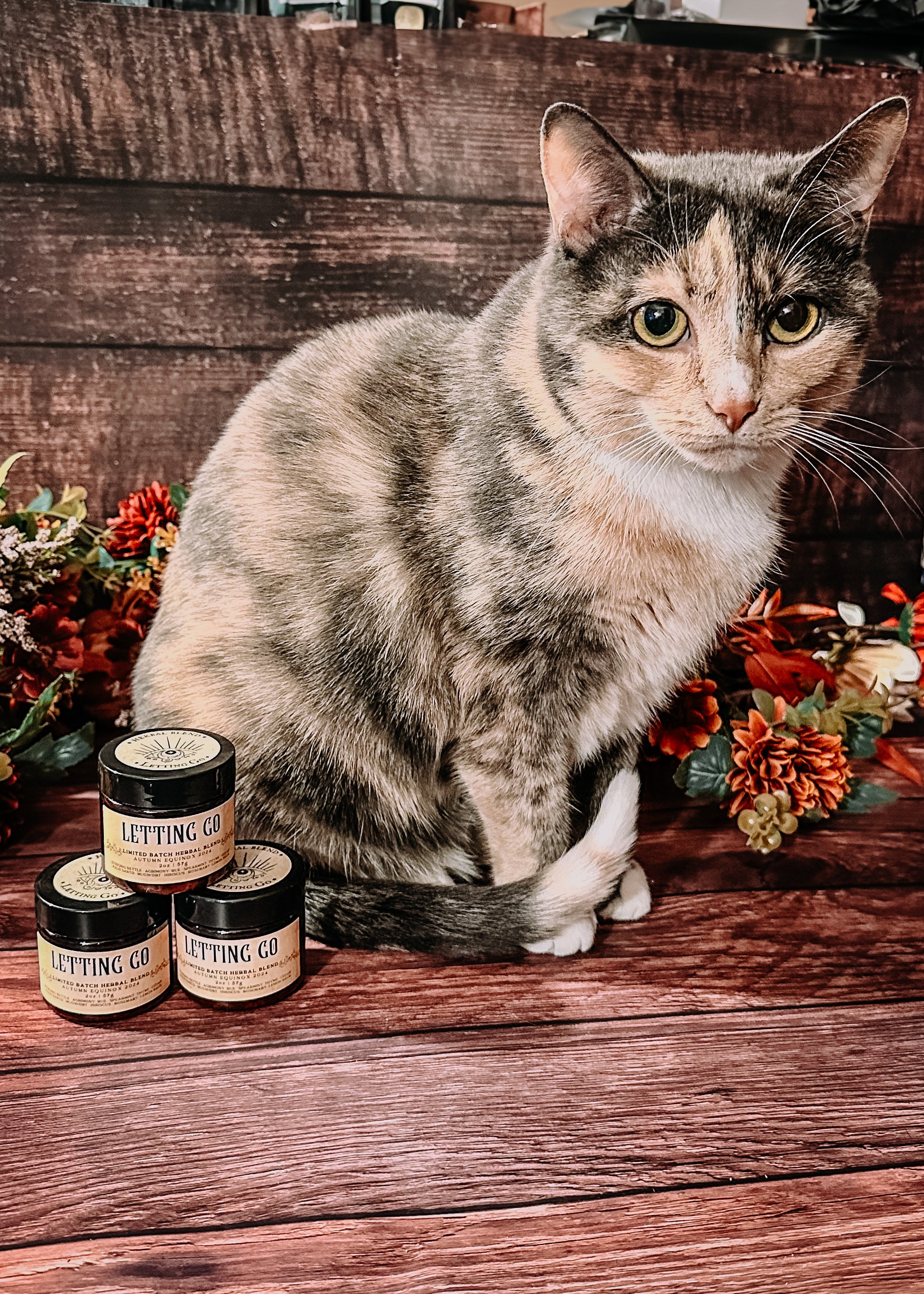A calico kitty sits next to a stack of the Letting Go herbal blend as Madame Creatrix attempts to photograph the product.