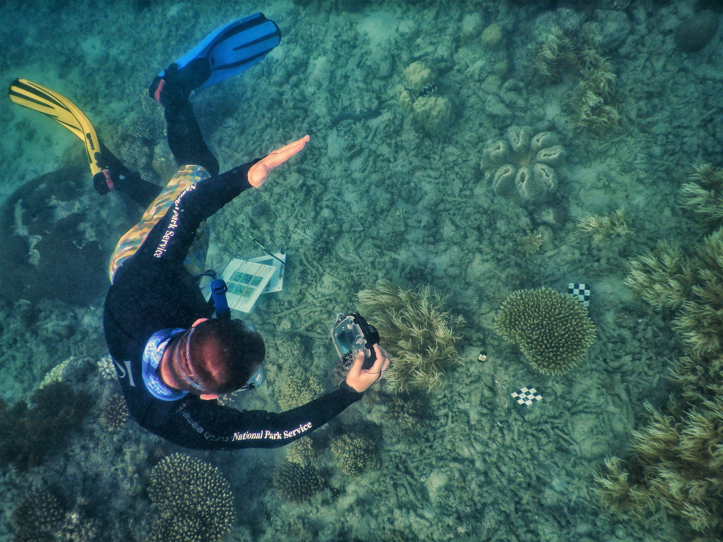 Tracking 3D size and shape changes in stony corals