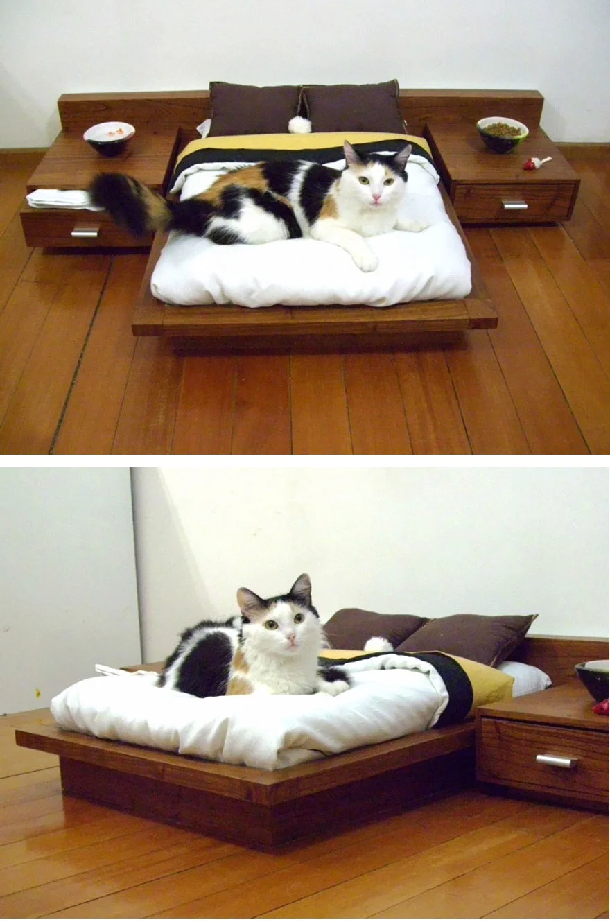 tumblr_ncbbb3ASgF1rlpicfo1_1280.jpg