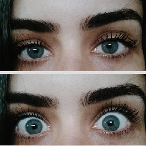 tumblr_inline_n7cr5wjHYQ1qb7rub.jpg