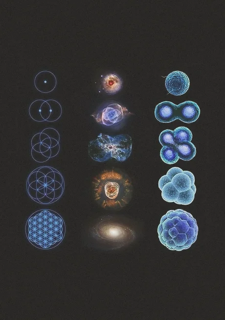 tumblr_n57gvgWVFg1qd8pqbo1_500.jpg