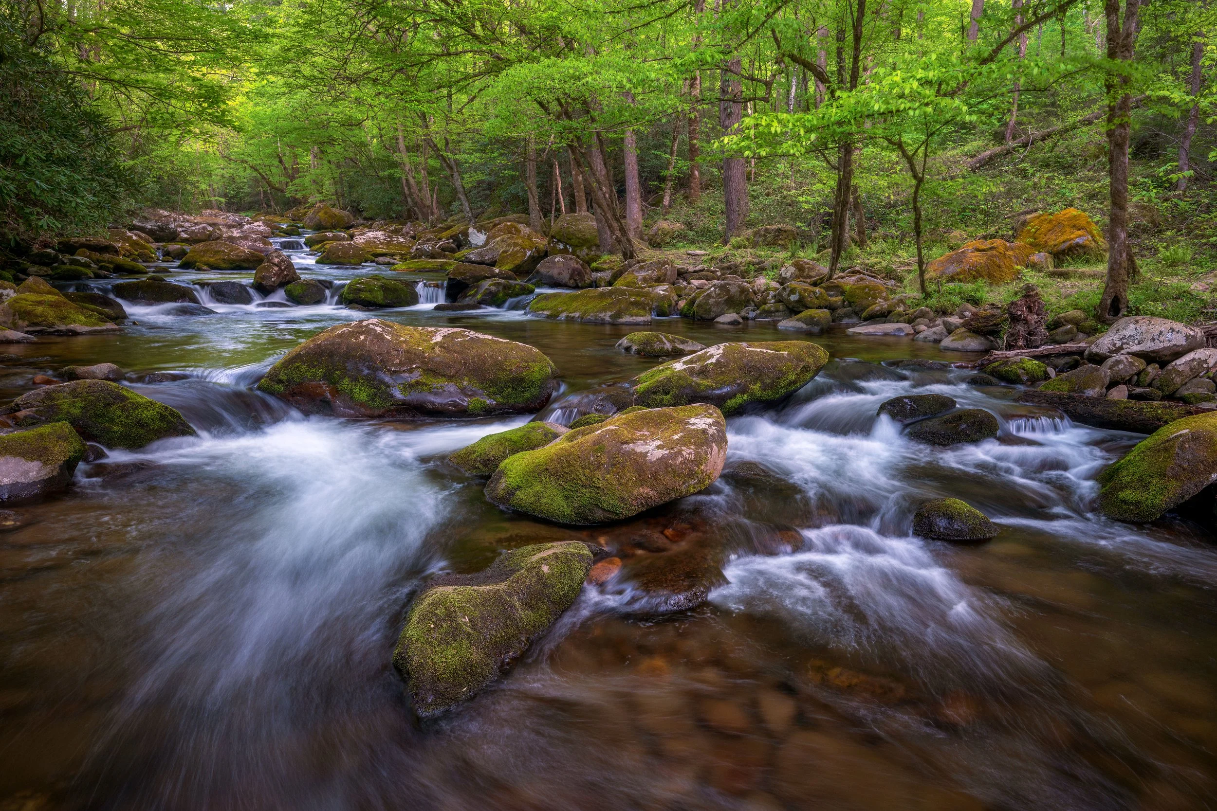 Emerald Flow