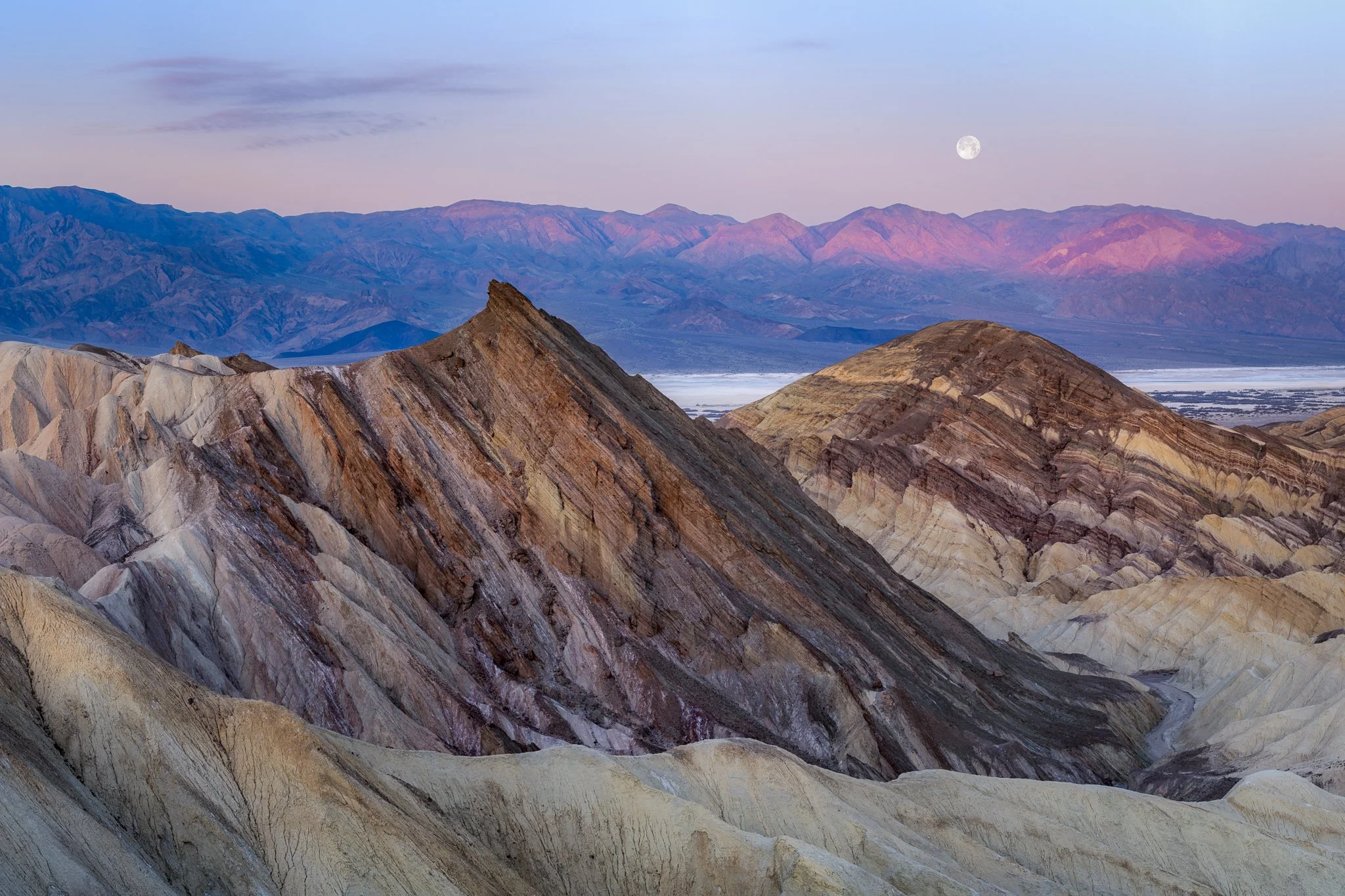 Desert Moon