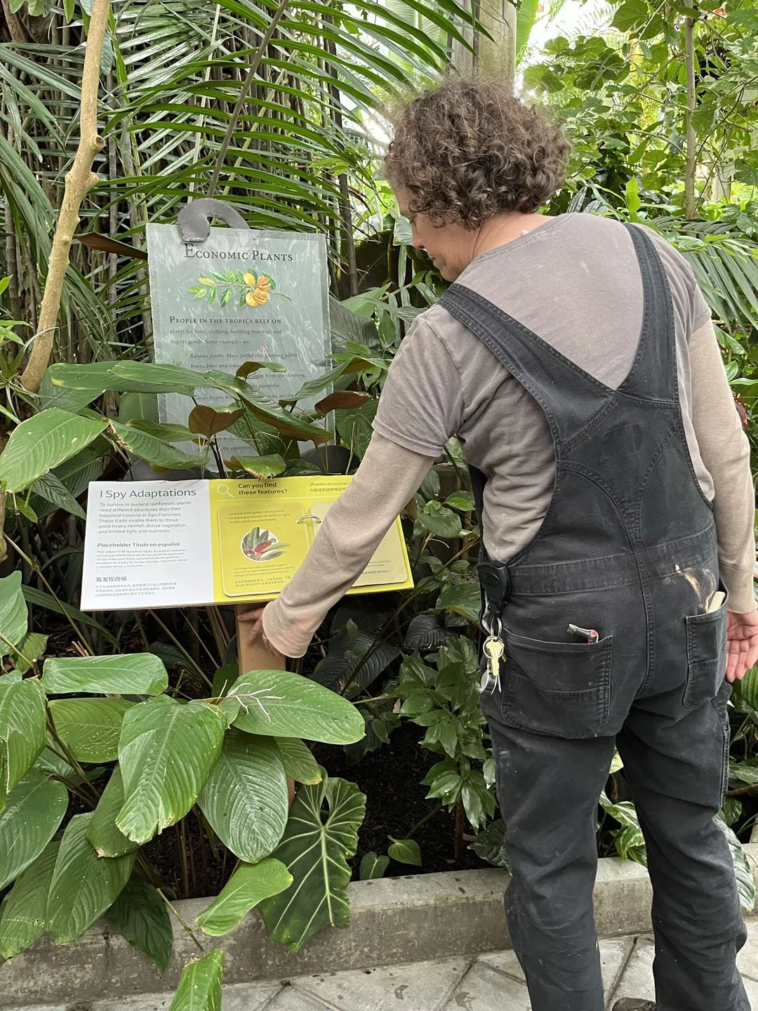 The Conservatory's education and horticulture staff collaborated with the design team to balance visitor experience priorities with operational realities.