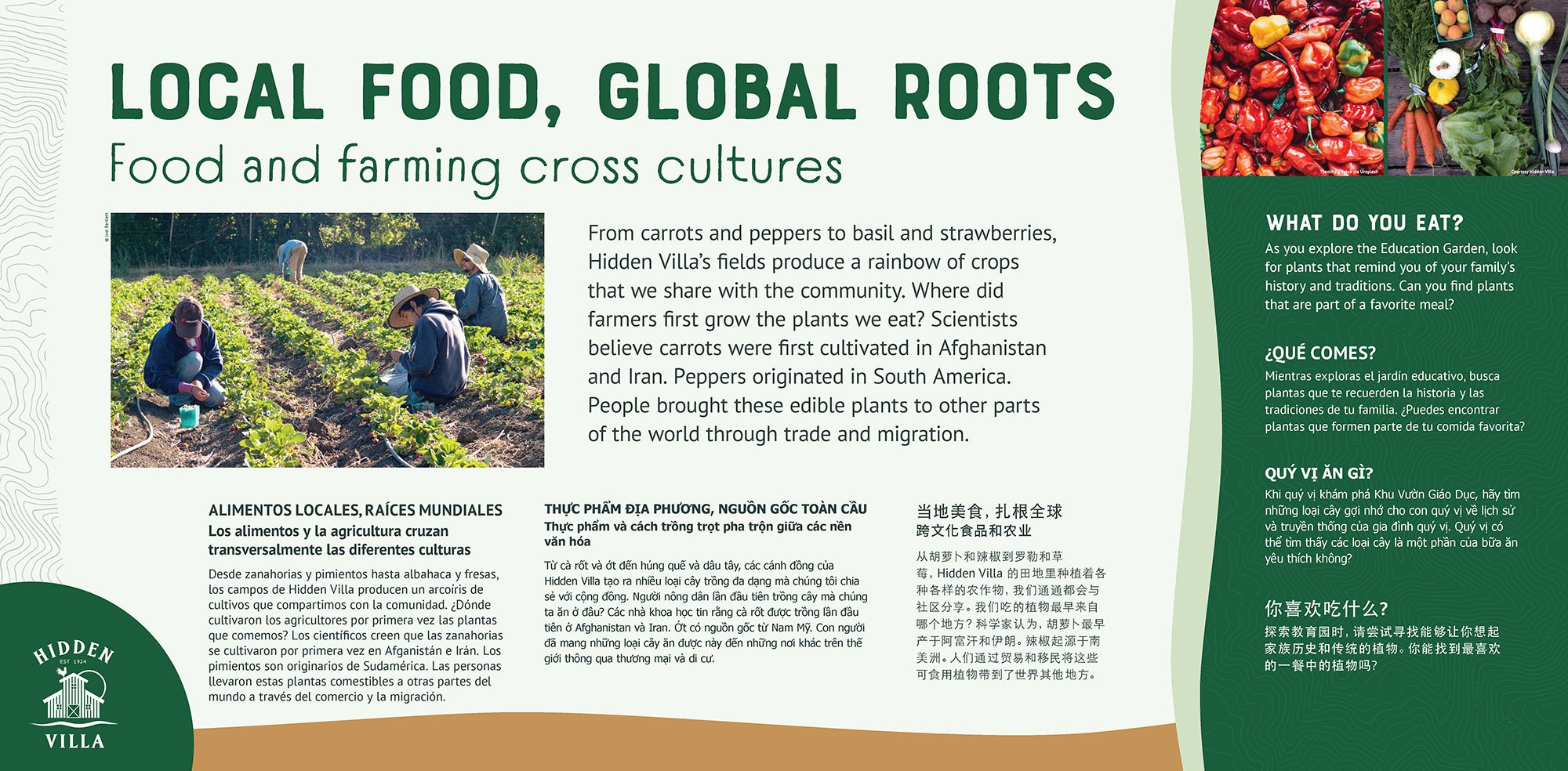 HV_Local Food_01.jpg