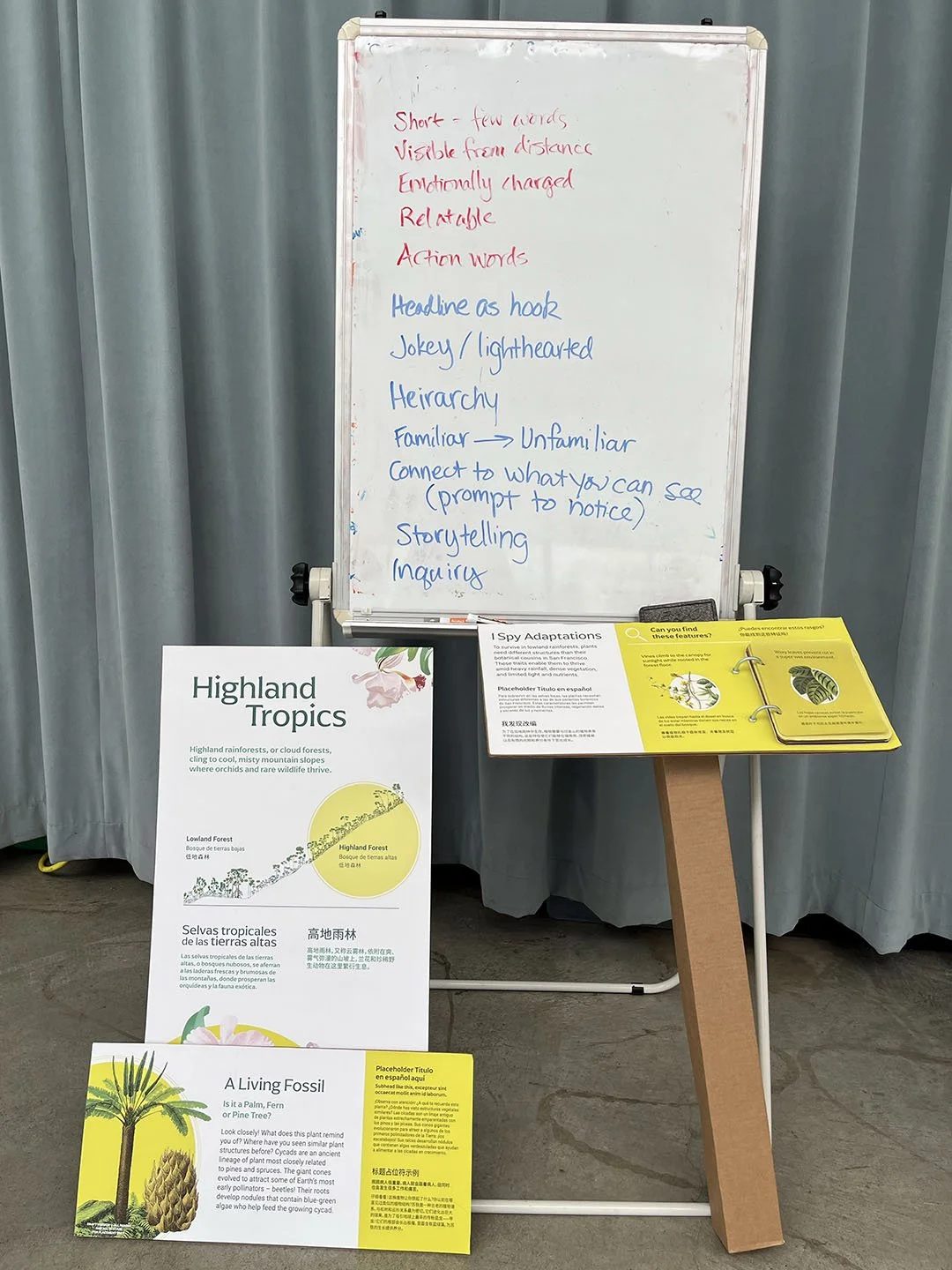 We led an interpretive writing workshop to help the Conservatory refine their stories and explore their voice and tone.