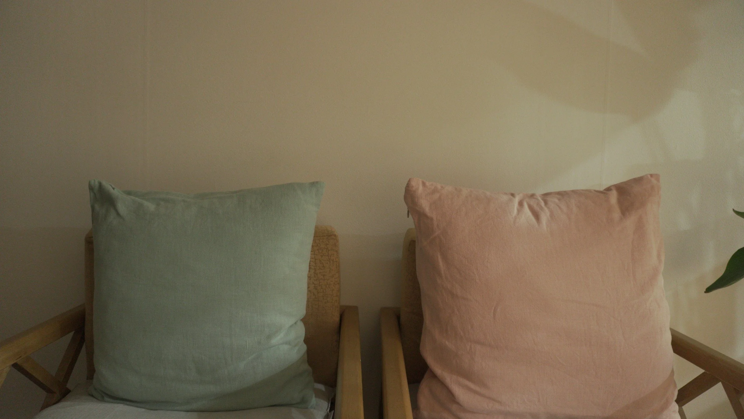 Two pillows, one green one pink, in a therapy room - therapy for self-esteem