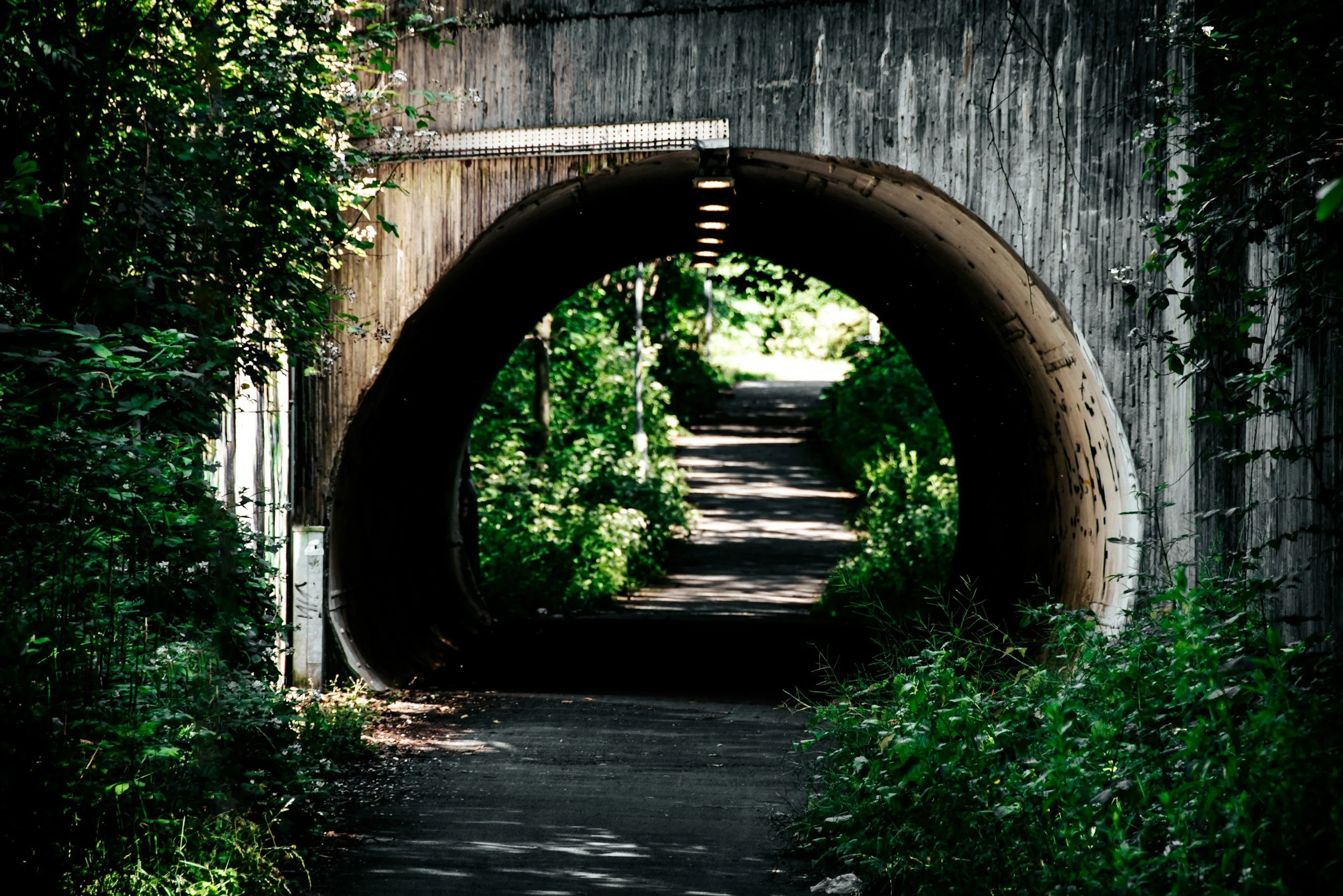 Trauma Beyond the Obvious: Understanding the Experiences That Shaped You