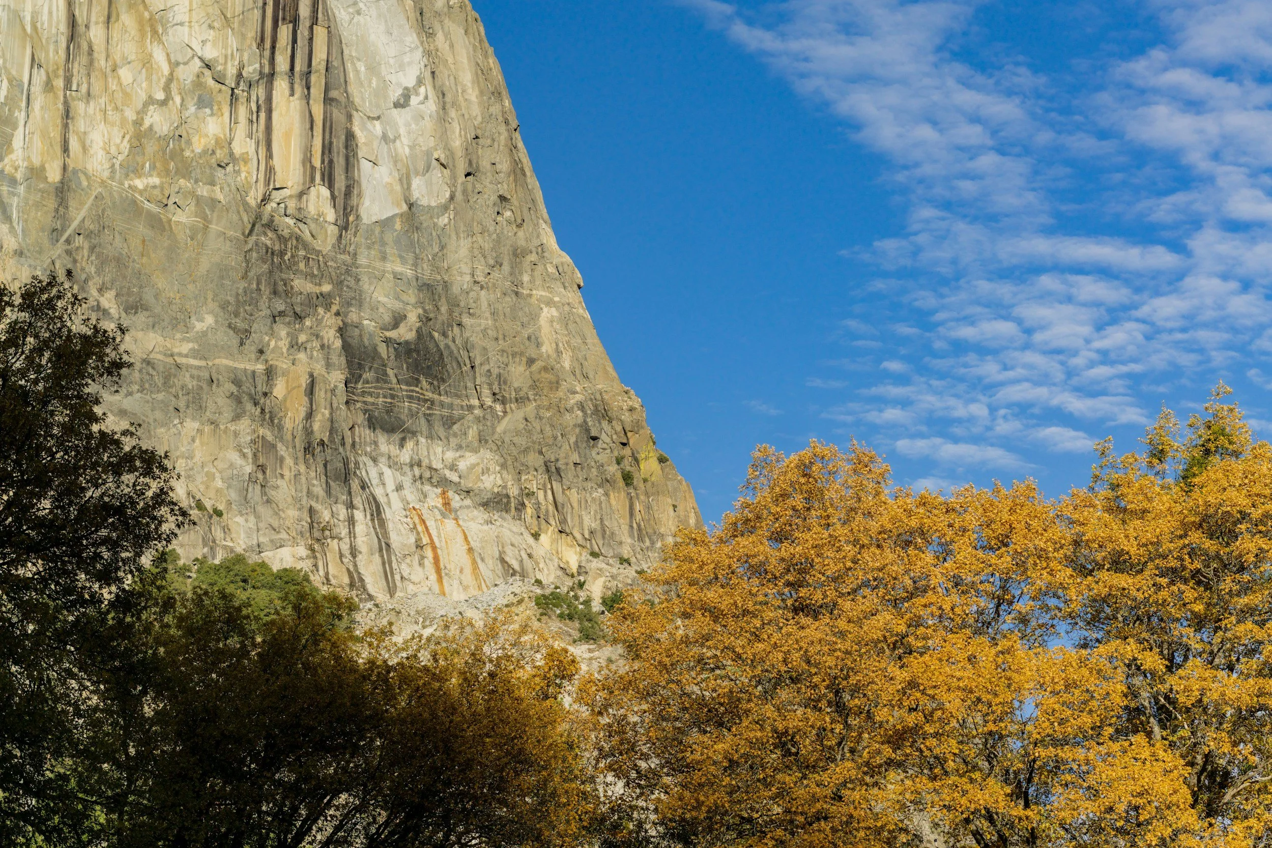 Granite cliff in the Sierra Nevada mountains of California