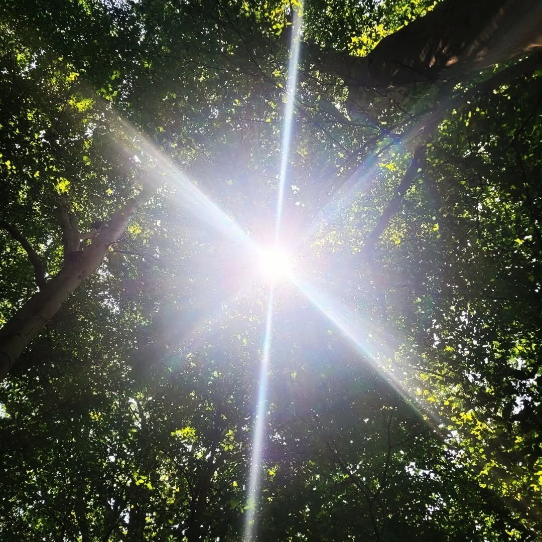 Breathwork reminds us that the body is not a barrier to spiritual growth&mdash;it&rsquo;s the gateway. In moments of overwhelm or awakening, the breath steadies us, carries us deeper, and opens doors we didn&rsquo;t know were there.

This practice is
