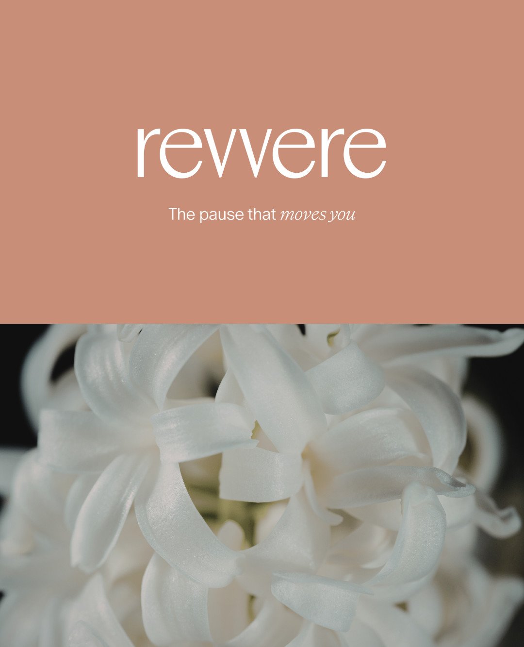 Branding meant to convey feeling. ☁️🌸🎧
Calmness. Clarity. Confidence. Transformation.

BrandWell Designs for @revvere, a digital on-demand coaching platform for women.