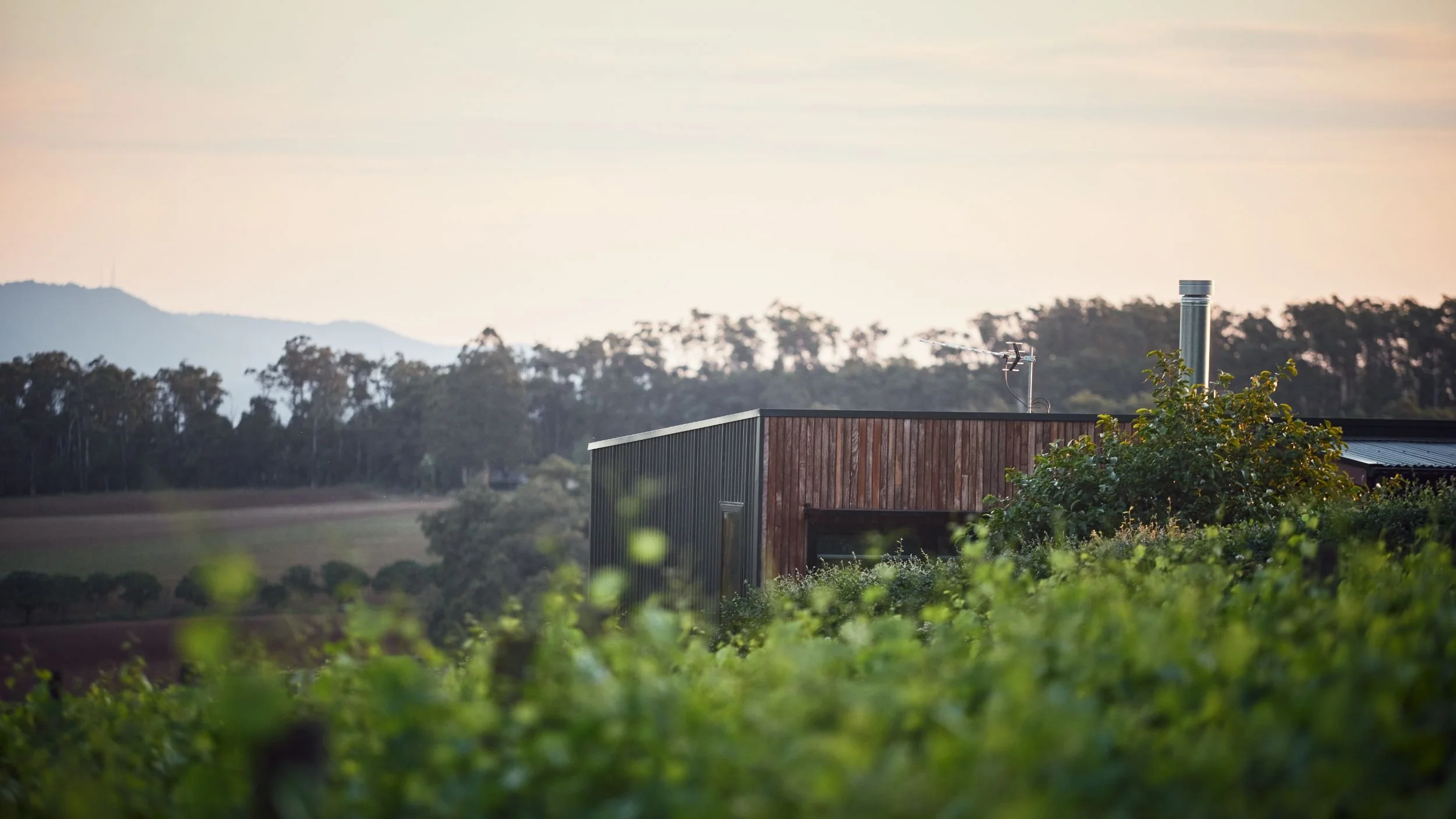 Yarra Valley