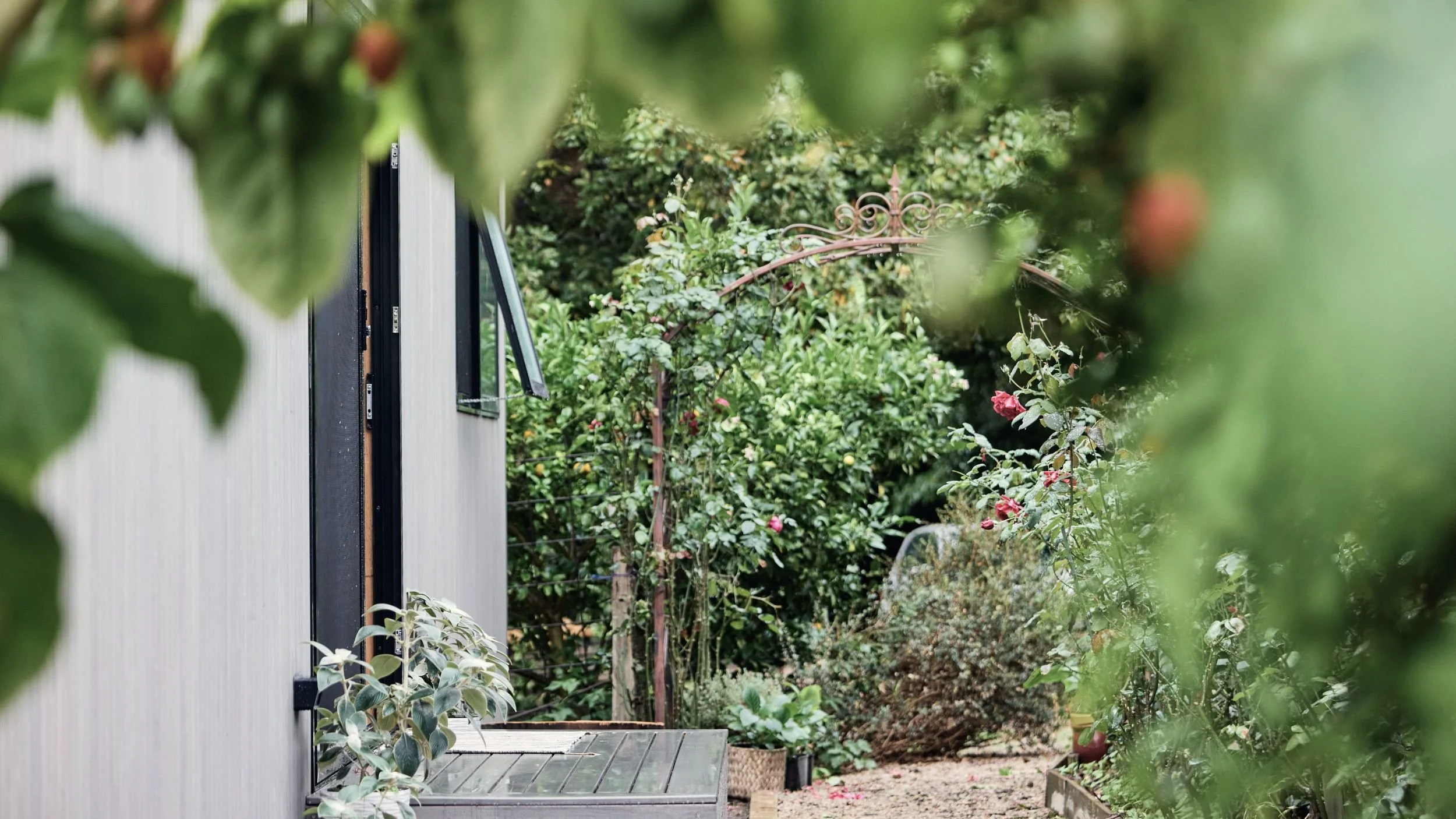 RedHill_ Project_Exterior_1.jpg