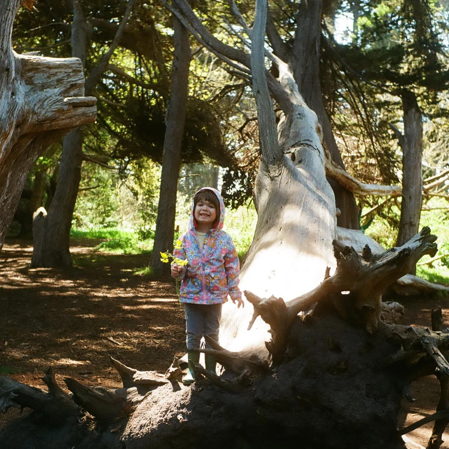 And 5 years later she is still our adventurous (yet cautious), goofy, smart, and incredibly kind kiddo. Happy Birthday Leo ☀️