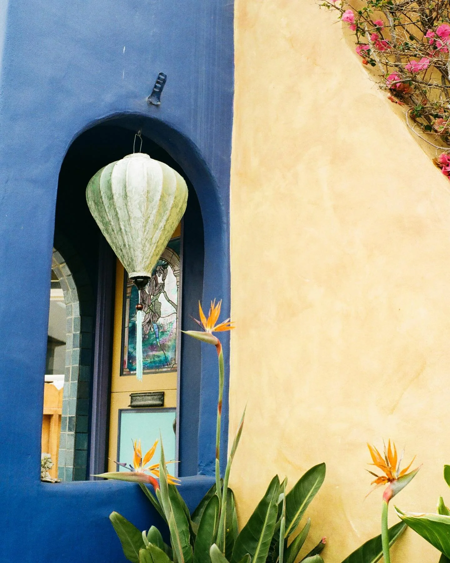 The houses in Pacific Grove are all different. It&rsquo;s really interesting to walk through their back streets and see the diversity in color and style of each house.

#leicacamera #shotonleica #pacificgrove #montereycounty #baeareafilm