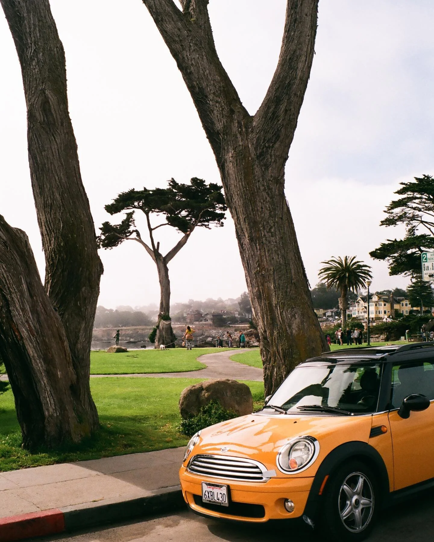 🟨 in Pacific Grove

Developed by the wonderful people at @thedarkroomlab 
#leicalosers #fujic200 #pacificgrove #montereycounty #loverspoint #thedarkroom