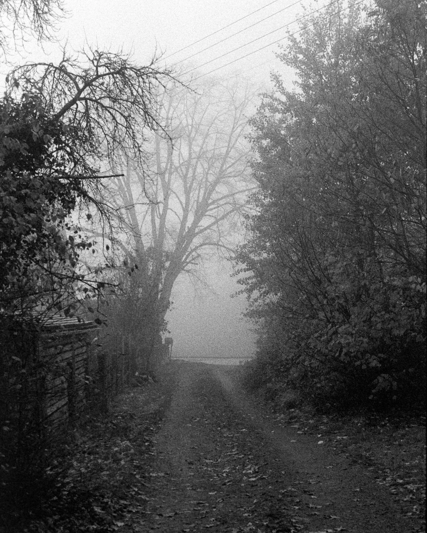 From the first roll that I&rsquo;ve shot and developed since I&rsquo;ve been in Germany. Also my first time shooting @ilfordphoto Delta 3200. VERY useful film for indoors but also the overcast foggy days we have been having here. #grainisgood 

#ilfo