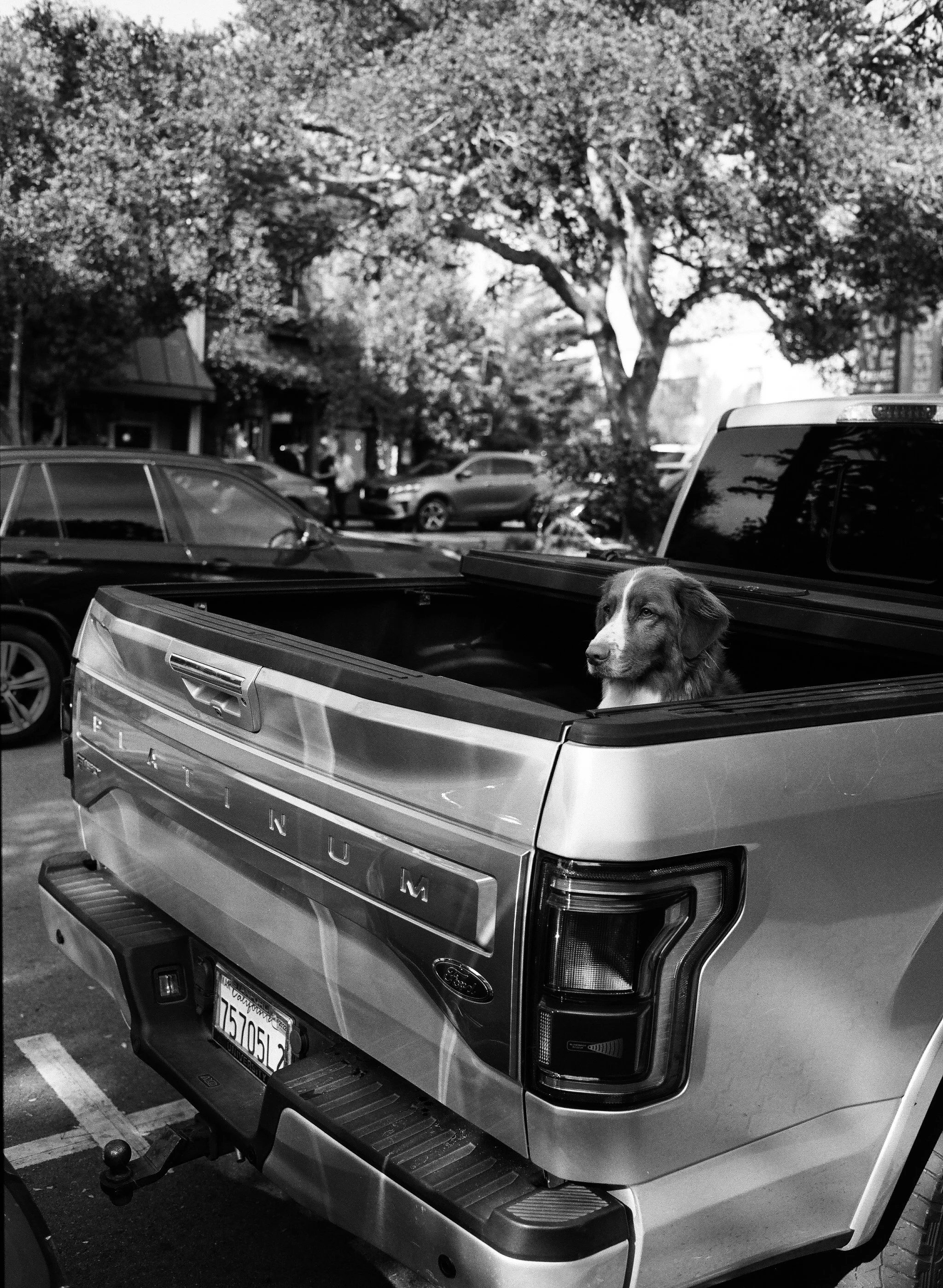 Mamiya_Carmel_Sept1121-10.jpg