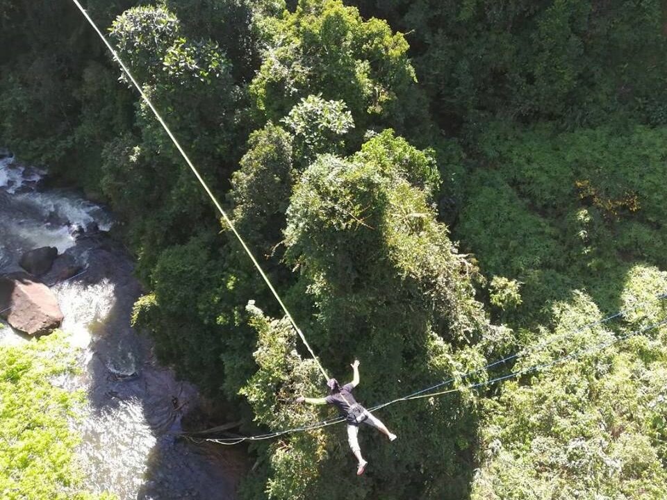 Bridge Rope Swing & Zipline - WebsiteIf you want to overcome your fear of heights, you can check out this place. If you don't think you're ready to jump, you can try Zipline!