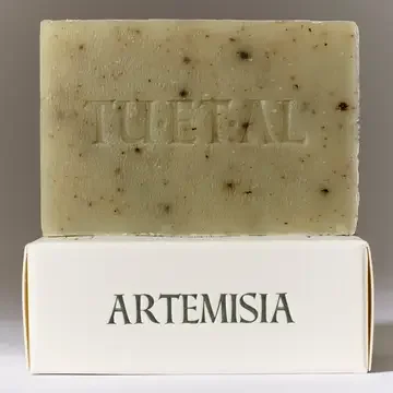 Artemisia