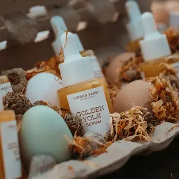 IMG_0502.webp