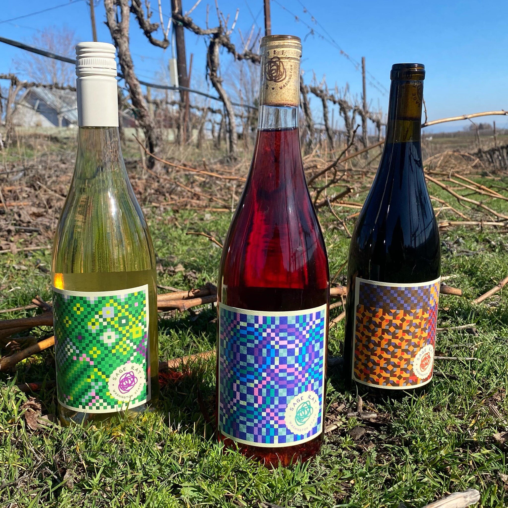 NEW WINE ALERT! 🚨 

Three new wines. Fresh off the bottling line.

2023 Ratto Bianco: High acid white blend of 50% Riesling, 25% Pinot Grigio and 25% Orange Muscat. 

2023 Roza: Newest wine in the Sage Rat lineup. Heavy extraction ros&eacute; made o