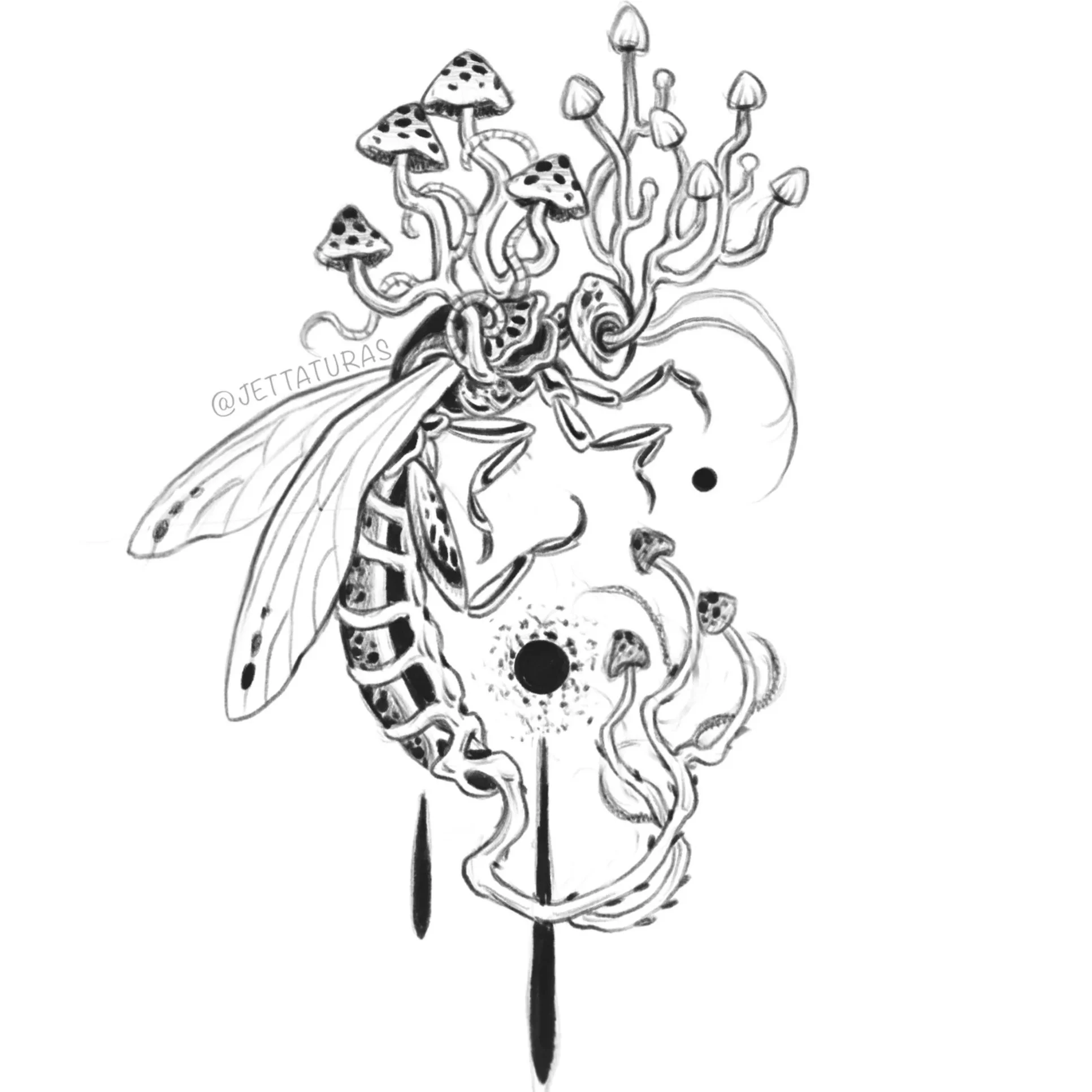 ↑ decaying wasp ↑