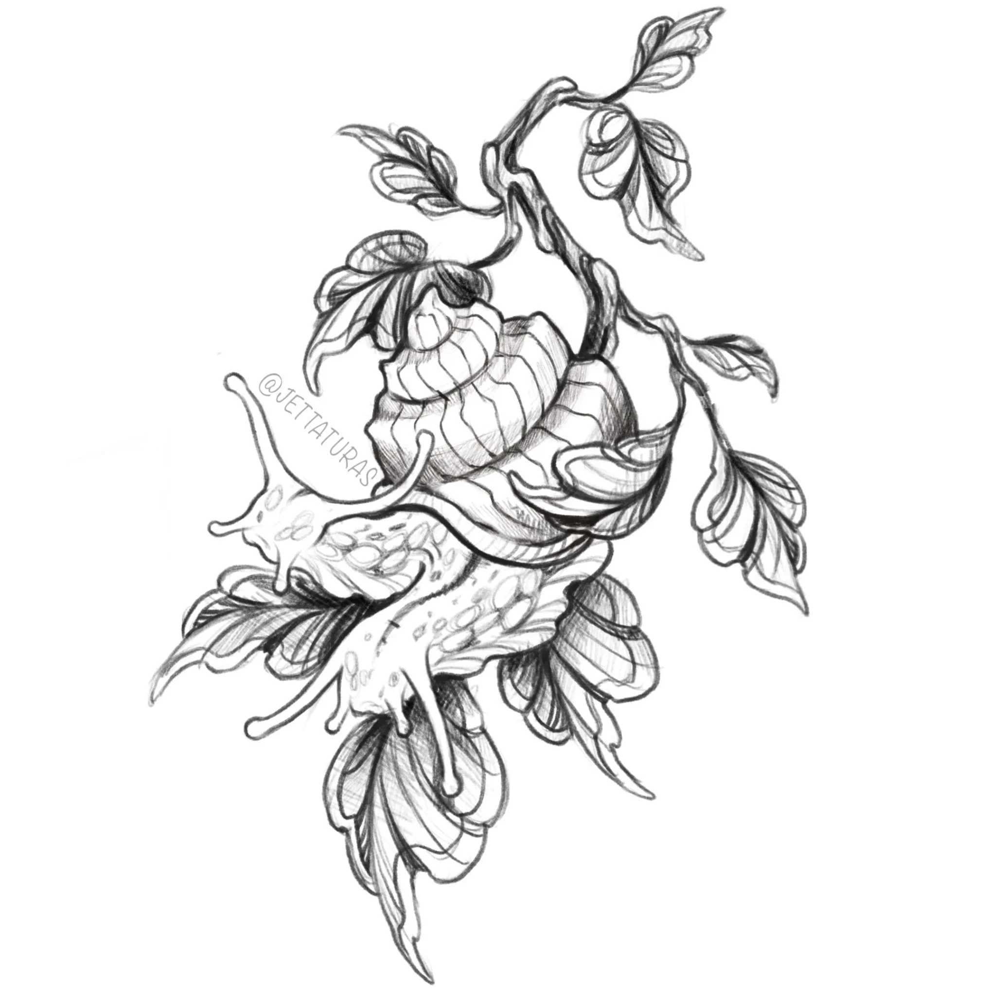 ↑ two-headed snail ↑