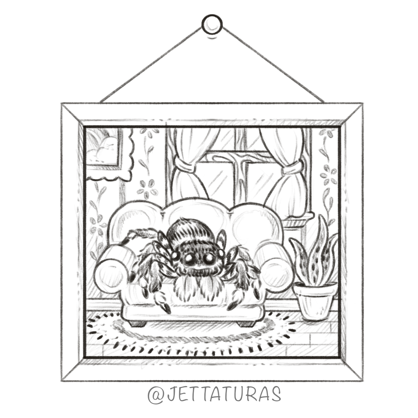 ↑ framed jumping spider ↑