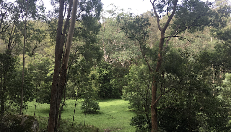 Spring Yoga Retreat