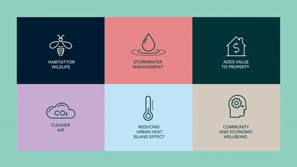 Cumberland Council Branding Campaign