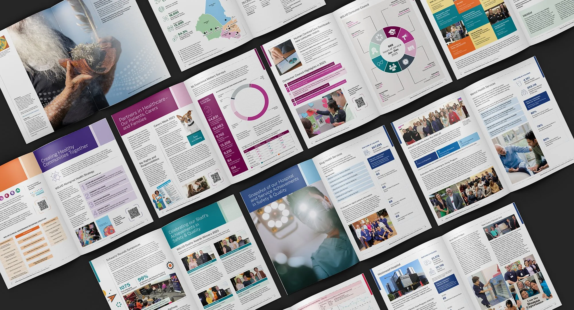 NSW Health Annual Report