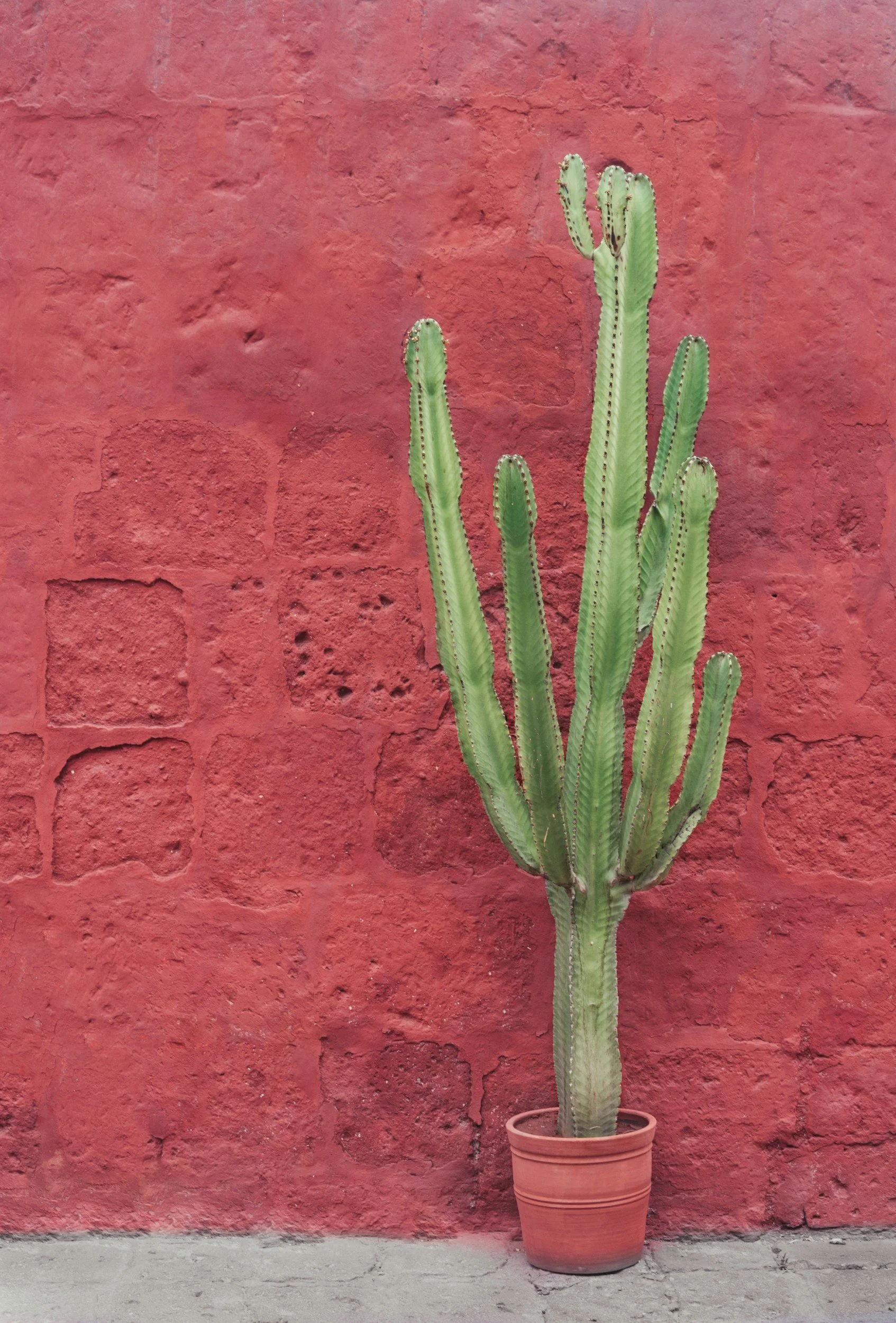 When Readiness Feels Like Softness