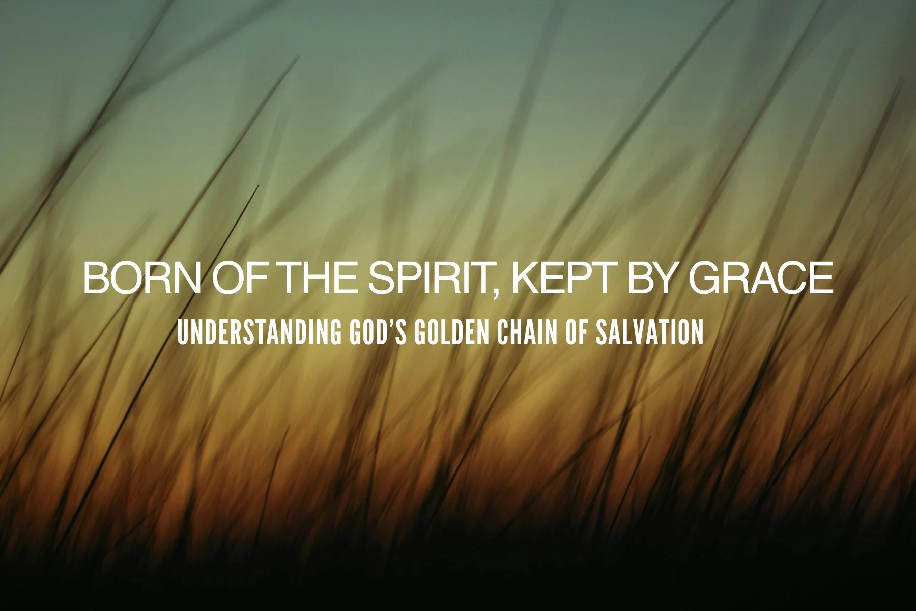 Born of the Spirit, Kept by Grace: Understanding God’s Golden Chain of Salvation