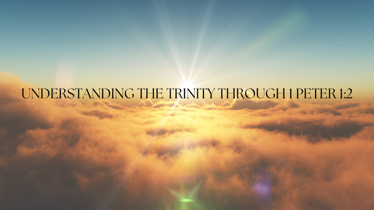 Trinity 1 Understanding the Trinity Through 1 Peter 1:2 — The Battlefield Theologian