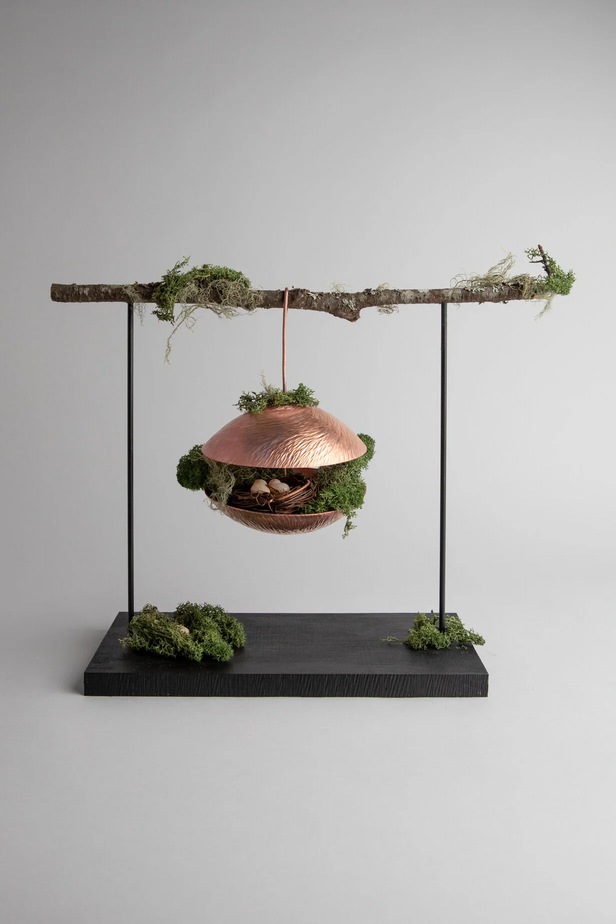 An artistic sculpture consisting of a horizontal tree branch mounted on a black base, with a copper-colored mushroom-like object hanging from the branch by a string, surrounded by green moss and lichen.