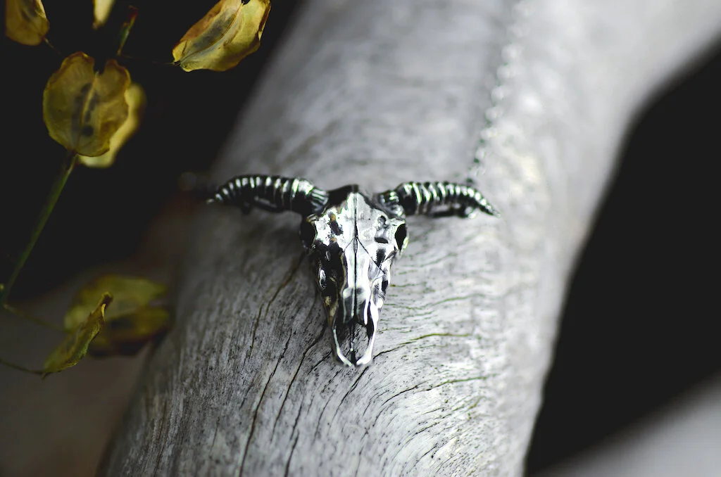 Close-up of a black and white animal skull with curved horns mounted on a textured wooden surface, with some yellow leaves nearby.